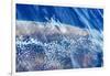 Satellite view of Mudug Coastline, Somalia-null-Framed Photographic Print