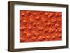 Satellite view of Murzuk Desert, Libya-null-Framed Photographic Print