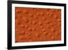 Satellite view of Murzuk Desert, Libya-null-Framed Photographic Print