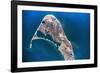 Satellite view of Nantucket Island, Cape Coad, Massachusetts, USA-null-Framed Photographic Print