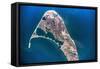 Satellite view of Nantucket Island, Cape Coad, Massachusetts, USA-null-Framed Stretched Canvas