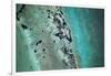 Satellite view of Naval Air Station, Key West, Florida, USA-null-Framed Photographic Print