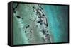 Satellite view of Naval Air Station, Key West, Florida, USA-null-Framed Stretched Canvas