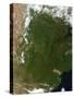 Satellite View of Northern Argentina-null-Stretched Canvas