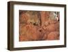 Satellite view of Novajo Nation Reservation and Lake Powell, Grand Canyon, Arizona, USA-null-Framed Photographic Print