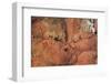 Satellite view of Novajo Nation Reservation and Lake Powell, Grand Canyon, Arizona, USA-null-Framed Photographic Print