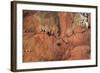 Satellite view of Novajo Nation Reservation and Lake Powell, Grand Canyon, Arizona, USA-null-Framed Photographic Print