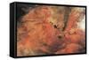 Satellite view of Novajo Nation Reservation and Lake Powell, Grand Canyon, Arizona, USA-null-Framed Stretched Canvas