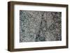 Satellite view of Oklahoma City, Oklahoma, USA-null-Framed Photographic Print