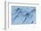 Satellite view of Pavlodar Province, Kazakhstan-null-Framed Photographic Print