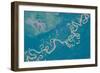 Satellite view of Plains in Beni Department, Bolivia-null-Framed Photographic Print