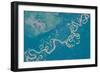 Satellite view of Plains in Beni Department, Bolivia-null-Framed Photographic Print