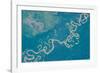 Satellite view of Plains in Beni Department, Bolivia-null-Framed Photographic Print