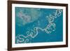 Satellite view of Plains in Beni Department, Bolivia-null-Framed Photographic Print