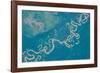 Satellite view of Plains in Beni Department, Bolivia-null-Framed Photographic Print