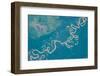 Satellite view of Plains in Beni Department, Bolivia-null-Framed Photographic Print