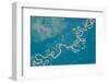 Satellite view of Plains in Beni Department, Bolivia-null-Framed Photographic Print