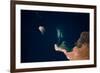 Satellite view of Qesm Shlatin, Red Sea Governorate, Egypt-null-Framed Photographic Print