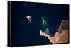 Satellite view of Qesm Shlatin, Red Sea Governorate, Egypt-null-Framed Stretched Canvas