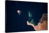 Satellite view of Qesm Shlatin, Red Sea Governorate, Egypt-null-Stretched Canvas