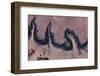 Satellite view of river near Agades, Niger-null-Framed Photographic Print