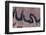 Satellite view of river near Agades, Niger-null-Framed Photographic Print