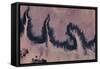 Satellite view of river near Agades, Niger-null-Framed Stretched Canvas