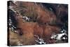 Satellite view of rocky landscape, Grand Canyon, Arizona, USA-null-Stretched Canvas