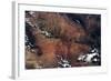 Satellite view of rocky landscape, Grand Canyon, Arizona, USA-null-Framed Photographic Print