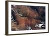 Satellite view of rocky landscape, Grand Canyon, Arizona, USA-null-Framed Photographic Print