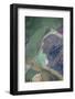 Satellite view of salt evaporation ponds at Great Salt Lake, Utah, USA-null-Framed Photographic Print