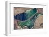 Satellite view of salt evaporation ponds in Jordan-Israel border-null-Framed Photographic Print