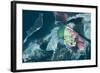 Satellite view of salt fields near Great Salt Lake, Utah, USA-null-Framed Photographic Print