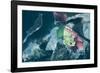 Satellite view of salt fields near Great Salt Lake, Utah, USA-null-Framed Photographic Print