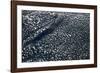 Satellite view of scattered clouds over landscape near Valavsk, Homiel Province, Belarus-null-Framed Photographic Print