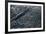 Satellite view of scattered clouds over landscape near Valavsk, Homiel Province, Belarus-null-Framed Photographic Print