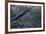 Satellite view of scattered clouds over landscape near Valavsk, Homiel Province, Belarus-null-Framed Photographic Print