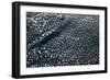 Satellite view of scattered clouds over landscape near Valavsk, Homiel Province, Belarus-null-Framed Photographic Print