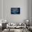 Satellite view of sea port, St. Petersburg, Florida, USA-null-Framed Stretched Canvas displayed on a wall
