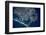 Satellite view of sea port, St. Petersburg, Florida, USA-null-Framed Photographic Print