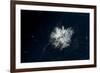 Satellite view of snow covered Mount Rainier, Mt Rainier National Park, Washington State, USA-null-Framed Photographic Print