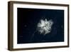 Satellite view of snow covered Mount Rainier, Mt Rainier National Park, Washington State, USA-null-Framed Photographic Print