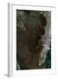 Satellite View of Southern Florida-null-Framed Photographic Print