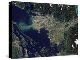 Satellite View of the Frasier River, British Columbia, Canada-Stocktrek Images-Stretched Canvas