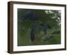 Satellite View of the Great Lakes-Stocktrek Images-Framed Photographic Print