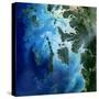 Satellite View of the Mergui Archipelago Showing Auckland and Whale Bays-null-Stretched Canvas