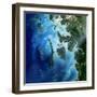 Satellite View of the Mergui Archipelago Showing Auckland and Whale Bays-null-Framed Photographic Print