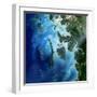 Satellite View of the Mergui Archipelago Showing Auckland and Whale Bays-null-Framed Photographic Print