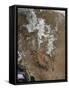 Satellite View of the Rocky Mountains-null-Framed Stretched Canvas