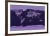 Satellite View of the World Showing Electric Lights and Usage-Goddard Space Center-Framed Art Print